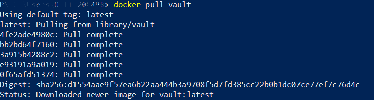 docker-install-vault