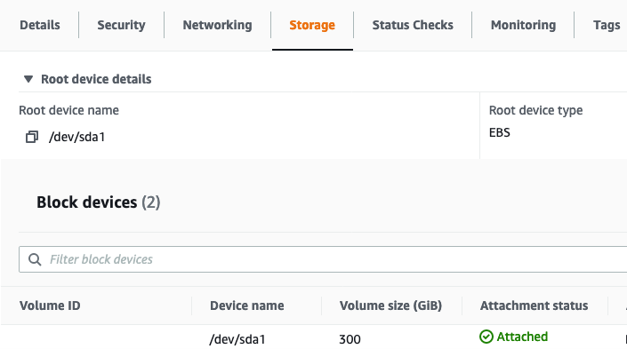 EC2-Stoage-Tab