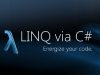 C# Perf improvement data types or using Linq is faster?