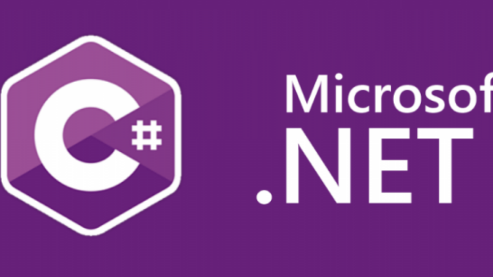 Digit Separators and Binary Literals in C#