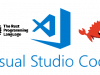 Numerical Types in Rust with VSCode